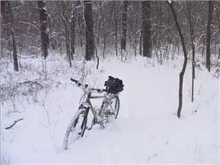 small_020302 miscIMG_2485.webp